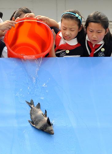 6月6日,參加活動的小學(xué)生在向江中放流魚種。新華社記者 孫參 攝