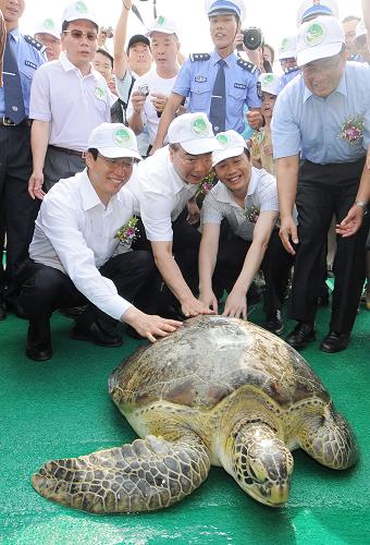 6月6日,一只85公斤重的大海龜被放歸大海。 當(dāng)日,2010南海生物資源增殖放流暨第三屆廣東“休漁放生節(jié)”主題活動(dòng)在廣東省陽江市海陵島大角灣畔舉行,共放流海水魚苗100萬尾、貝類10噸、海龜200只、鱟200只?;顒?dòng)期間,中國(guó)漁政和公安邊防船只將對(duì)放生海域進(jìn)行巡查,并發(fā)布放生海域禁漁公告。新華社發(fā)(梁文棟 攝)