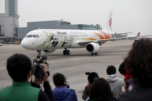 12月18日,“開開”“心心”乘坐的專機(jī)抵達(dá)澳門國(guó)際機(jī)場(chǎng)。新華社記者 張金加 攝