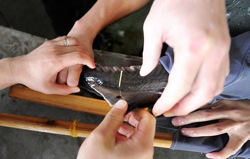 4月12日,中國三峽集團(tuán)中華鱘研究所的科研人員對正在進(jìn)行“野化”訓(xùn)練的子一代中華鱘安裝新型塑料體外識別T形標(biāo)識。4月中旬,該研究所人工繁殖的大批中華鱘和胭脂魚等珍稀魚類將被放流長江。為防止?jié)O民誤捕珍稀魚類,科研人員對放流魚類安裝T形標(biāo)識,漁民憑肉眼就可以識別。新華社發(fā)(劉曙松 攝)