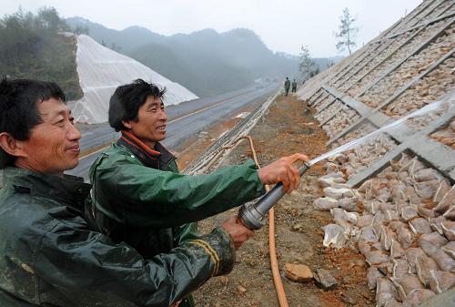 4月14日,公路建設(shè)者對績黃高速公路護(hù)坡進(jìn)行養(yǎng)護(hù)。日前,安徽省高速公路網(wǎng)規(guī)劃重點(diǎn)項目績(溪)黃(山)高速公路工程進(jìn)入最后施工階段,路基工程已經(jīng)貫通,路面施工進(jìn)展順利,預(yù)計今年9月即可建成通車??凕S高速公路全長24.6公里,與已經(jīng)通車的徽杭高速、建設(shè)中的揚(yáng)(州)績(溪)高速相連,對皖、浙、蘇三省交界山區(qū)經(jīng)濟(jì)發(fā)展將起到積極作用。新華社記者 王雷 攝