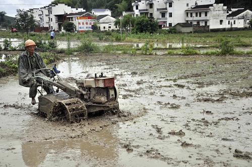 6月16日,江西婺源縣紫陽鎮(zhèn)農(nóng)民在翻耕稻田。強(qiáng)降雨過后,江西省婺源縣全力組織當(dāng)?shù)剞r(nóng)民進(jìn)行災(zāi)后生產(chǎn)自救,擴(kuò)大中晚稻播種面積,最大限度減少災(zāi)害損失。新華社發(fā)(單長華 攝)