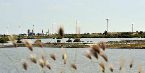 這是位于海南省東方市的風(fēng)力發(fā)電機(jī)組(8月22日攝)。新華社記者 郭程 攝