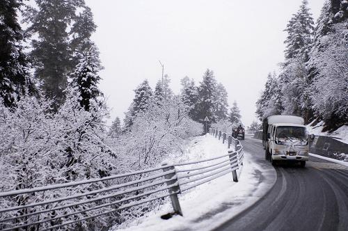 5月2日,車(chē)輛在川藏公路西藏林芝地區(qū)魯朗鎮(zhèn)境內(nèi)積雪的道路上緩慢行駛。新華社記者 文濤 攝