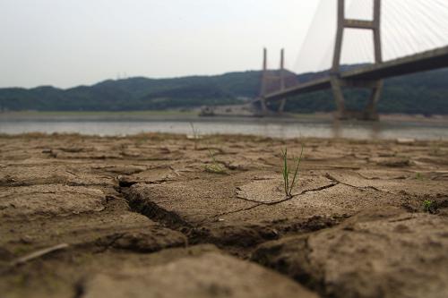 這是5月15日在江西湖口拍攝的鄱陽湖大橋附近干涸的湖床。當(dāng)日8時(shí),鄱陽湖星子站水位僅為9.19米,遠(yuǎn)遠(yuǎn)低于歷年同期均值14米以上的水平。盡管長(zhǎng)江三峽水庫加大對(duì)下游的放水量,江西境內(nèi)也出現(xiàn)較強(qiáng)降水,但我國(guó)最大的淡水湖鄱陽湖的水位仍嚴(yán)重偏低,比歷年同期均值低4米多。有關(guān)部門認(rèn)為,鄱陽湖持續(xù)的低水位除導(dǎo)致部分農(nóng)田用水緊張外,湖區(qū)魚類繁殖產(chǎn)卵也將受到影響。新華社發(fā)(張俊 攝)