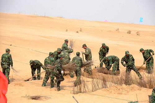 5月2日,造林隊(duì)員在內(nèi)蒙古赤峰市渾善達(dá)克沙地中埋設(shè)生物沙障。 當(dāng)日,2009年京津周邊風(fēng)沙源治理工程在內(nèi)蒙古赤峰市境內(nèi)的渾善達(dá)克沙區(qū)全面啟動(dòng),一萬(wàn)余名治沙造林隊(duì)員陸續(xù)奔赴治沙一線。 京津風(fēng)沙源治理工程是我國(guó)6大生態(tài)建設(shè)工程之一,于2000年5月開(kāi)始實(shí)施,涉及內(nèi)蒙古4個(gè)盟市的31個(gè)旗縣。截至今年初,內(nèi)蒙古完成封山育林任務(wù)1192.25萬(wàn)畝,項(xiàng)目區(qū)內(nèi)的森林面積增加了1000多萬(wàn)畝,林草覆蓋度提高到20%以上。 新華社記者張領(lǐng)攝