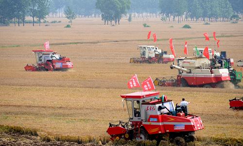農(nóng)機總動力60年增長1萬倍 農(nóng)機化邁入中級發(fā)展階段 5月26日,大型收割機械在河南駐馬店收割小麥。 經(jīng)過60年發(fā)展,我國農(nóng)業(yè)耕種已基本告別原始的人力、畜力作業(yè)階段,正在向大面積農(nóng)業(yè)機械化邁進。據(jù)農(nóng)業(yè)部統(tǒng)計,截至2008年底,我國農(nóng)機總動力達(dá)8.22億千瓦,是1949年時8.01萬千瓦的1萬倍,年平均增長速度為16.95%,構(gòu)建起了符合中國國情的農(nóng)業(yè)機械化發(fā)展體系。 新華社記者朱祥攝