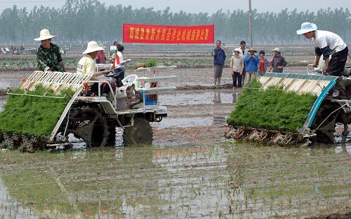 6月14日,農(nóng)機手在山東郯城縣郯城鎮(zhèn)梧桐村的水田里參加機械插秧比賽。 經(jīng)過60年發(fā)展,我國農(nóng)業(yè)耕種已基本告別原始的人力、畜力作業(yè)階段,正在向大面積農(nóng)業(yè)機械化邁進。據(jù)農(nóng)業(yè)部統(tǒng)計,截至2008年底,我國農(nóng)機總動力達(dá)8.22億千瓦,是1949年時8.01萬千瓦的1萬倍,年平均增長速度為16.95%,構(gòu)建起了符合中國國情的農(nóng)業(yè)機械化發(fā)展體系。 新華社發(fā)