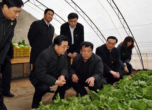 1月1日,中共中央總書記、國家主席、中央軍委主席胡錦濤到河北省三河市農(nóng)村考察。這是胡錦濤在三河市李旗莊鎮(zhèn)李旗莊村生菜大棚了解冬季農(nóng)業(yè)生產(chǎn)情況。 新華社記者李學(xué)仁攝