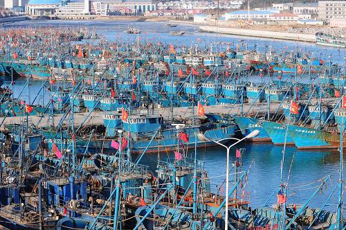 1月21日,大批漁船停靠在大連市旅順口區(qū)龍王塘漁港碼頭避險。近日,由于黃渤海海域冰情進一步加重,大連市所轄漁港的大批漁船停止出海捕魚,靠港避險,漁民也趁此機會上岸修補網(wǎng)具和船只。新華社發(fā)(呂文正 攝)