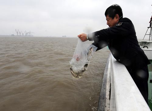 4月1日,漁政人員在長江上進(jìn)行魚種資源回放。新華社記者 姜帆 攝