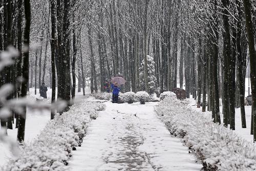 4月9日,一位攝影愛(ài)好者在公園內(nèi)拍攝雪景。從4月8日夜間開(kāi)始,受冷暖空氣交匯影響,遼寧部分地區(qū)出現(xiàn)了雨雪過(guò)程,進(jìn)入四月中旬已開(kāi)始回暖的沈陽(yáng),又化作一片白茫茫的銀色世界。4月9日8時(shí),沈陽(yáng)中心氣象臺(tái)發(fā)布的暴雪藍(lán)色預(yù)警顯示,目前沈陽(yáng)、錦州、盤(pán)錦、鐵嶺、鞍山北部地區(qū)降雪量達(dá)到4毫米,預(yù)計(jì)未來(lái)6小時(shí)還將出現(xiàn)2-4毫米的降雪。新華社記者 任勇 攝