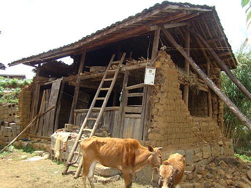 6月2日,地震造成云南保山市施甸縣老麥鄉(xiāng)黃家村一農(nóng)房墻體倒塌、房屋嚴(yán)重傾斜。截至6月2日晚間,地震造成全縣學(xué)校受損33所,受地震影響班級1093個學(xué)生42989人,因?yàn)?zāi)無法正常上課學(xué)生3425人,受災(zāi)無法住宿學(xué)生3315人,受災(zāi)無法正常使用的房屋105棟;24675間民房不同程度受損。新華社發(fā)