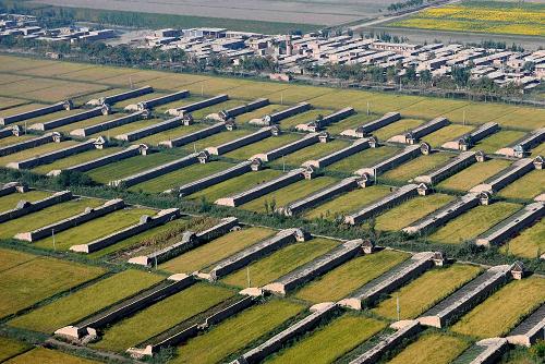 寧夏永寧縣的設施農業(yè)大棚(2008年9月17日攝)。寧夏回族自治區(qū)農牧廳公布數(shù)據(jù)顯示,截至目前,寧夏今年已完成設施農業(yè)建設21.3萬畝,總面積超過100萬畝,這標志著寧夏提前一年完成2007年制定的《寧夏百萬畝設施農業(yè)建設發(fā)展規(guī)劃》,全區(qū)農民人均來自設施農業(yè)的純收入達361.4元,主產區(qū)農民人均來自設施農業(yè)純收入逾1000元,設施農業(yè)已成為寧夏農民避災增收的重要途徑。新華社記者 王鵬 攝
