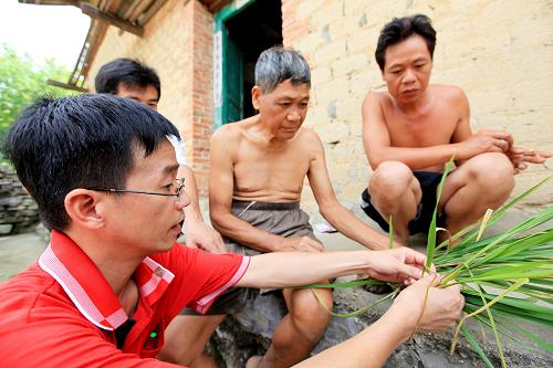 8月25日,廣西融安縣的農(nóng)業(yè)技術(shù)人員(前)在浮石鎮(zhèn)東江村粟坡屯一戶農(nóng)家為群眾講解南方水稻黑條矮縮病的防治方法。目前,新發(fā)性病蟲(chóng)害南方水稻黑條矮縮病在華南和江南已涉及117個(gè)縣的299萬(wàn)畝,廣西融安縣約2.1萬(wàn)畝中稻受災(zāi)。融安縣農(nóng)業(yè)技術(shù)人員組成黨員服務(wù)隊(duì)進(jìn)農(nóng)家、下稻田,全面指導(dǎo)群眾防治南方水稻黑條矮縮病。新華社發(fā)(譚凱興 攝)