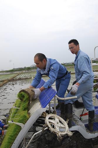 4月21日,來自日本一家農(nóng)機(jī)公司的技術(shù)人員在浙江余姚田間當(dāng)起“農(nóng)機(jī)保姆”,為當(dāng)?shù)剞r(nóng)戶示范使用插秧機(jī)。新華社發(fā)(張輝 攝)