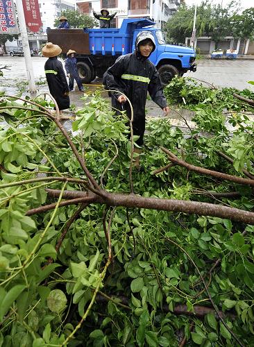9月30日,文昌市園林局的工作人員在清理被臺(tái)風(fēng)吹斷的樹枝。新華社記者 郭程 攝