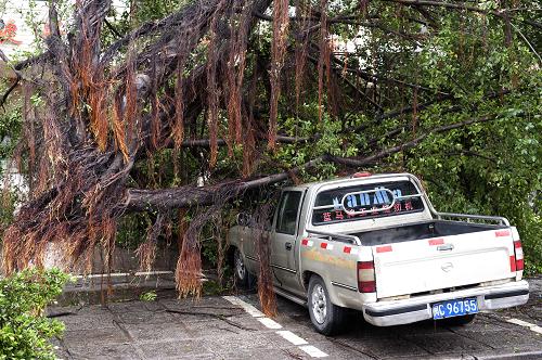 9月10日,福建省石獅市市區(qū)一輛汽車被臺(tái)風(fēng)吹倒的樹木壓住。今年第10號(hào)臺(tái)風(fēng)“莫蘭蒂”于10日3時(shí)30分在福建省石獅市登陸,登陸時(shí)中心氣壓975百帕,近中心最大風(fēng)力12級(jí),未來(lái)將向偏北方向移動(dòng)。受今年第10號(hào)臺(tái)風(fēng)影響,福建全省共轉(zhuǎn)移群眾14.53萬(wàn)人。其中組織臺(tái)灣淺灘、閩南和閩中漁場(chǎng)作業(yè)的3.32萬(wàn)艘漁船于9日20時(shí)前全部進(jìn)港避風(fēng),安全轉(zhuǎn)移漁船上人員9.56萬(wàn)人;漳州、廈門、泉州、莆田、福州(平潭)沿海漁排上的各類人員2.19萬(wàn)人已于9日20時(shí)前全部撤離上岸;各地還組織轉(zhuǎn)移了陸上各類危險(xiǎn)區(qū)域人員2.78萬(wàn)人。新華社記者 姜克紅 攝