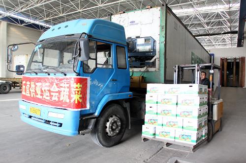 11月1日,山東濰坊安丘市一家食品公司的工作人員將專供蔬菜裝車。當(dāng)日,山東濰坊安丘市一食品公司將經(jīng)檢測合格的圓蔥、青椒、甘藍、胡蘿卜等蔬菜裝車,全程使用保溫車并采取冷鏈運輸?shù)姆绞?,發(fā)往廣州,直供亞運會。新華社發(fā)(孫樹寶 攝)