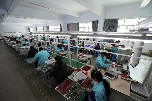 4月11日,工人在微型企業(yè)孵化園的一家電子生產(chǎn)企業(yè)里工作,這家企業(yè)絕大部分工人是三峽庫區(qū)移民。重慶市萬州區(qū)在2011年將發(fā)展3000家微型企業(yè),這些微型企業(yè)將解決上萬名三峽庫區(qū)移民的就業(yè)問題。重慶市萬州區(qū)工商分局首創(chuàng)“微型企業(yè)+產(chǎn)業(yè)轉(zhuǎn)移+職業(yè)培訓(xùn)+創(chuàng)業(yè)就業(yè)”的發(fā)展模式,提高企業(yè)創(chuàng)辦初期的存活率,促進(jìn)第三產(chǎn)業(yè)協(xié)調(diào)穩(wěn)健發(fā)展。新華社記者 陳誠 攝