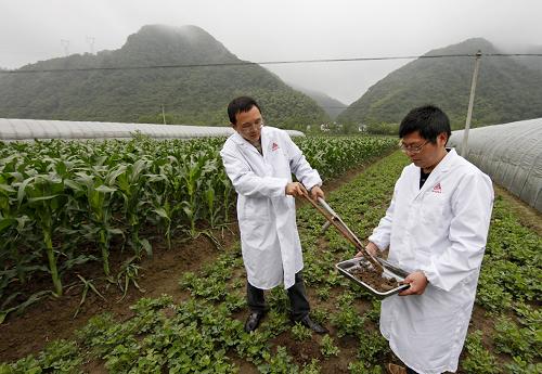 5月24日,技術(shù)人員在試驗(yàn)田里取土采集樣本。安徽第一家測土配方施肥研究基地、中國農(nóng)業(yè)大學(xué)——司爾特公司測土配方施肥研究基地日前在安徽省寧國市成立。據(jù)悉,這個基地將以安徽、江西、湖南等長江中下游地區(qū)600多萬畝耕地為依托,通過校企合作,全面深入地推廣測土配方施肥、降低農(nóng)業(yè)生產(chǎn)成本、保證糧食穩(wěn)產(chǎn)增產(chǎn)等技術(shù)。新華社發(fā)(李曉紅 攝)