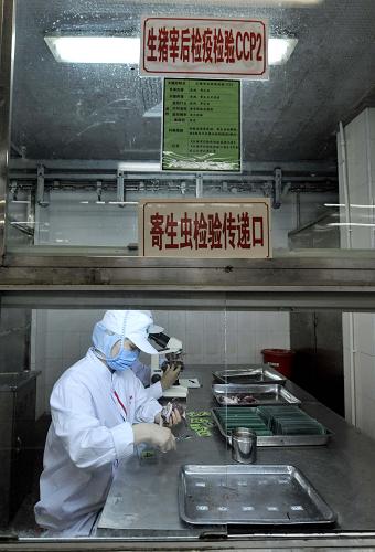 在規(guī)?;髽I(yè)惠州東進(jìn)農(nóng)牧集團(tuán)自己的屠宰場(chǎng),工作人員在屠宰線上的檢驗(yàn)口進(jìn)行檢驗(yàn)(7月5日攝)。新華社記者 陳曄華 攝
