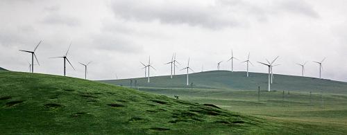 這是內(nèi)蒙古通遼市扎魯特旗草原深處的風(fēng)力發(fā)電設(shè)備(7月31日攝)。通遼市位于內(nèi)蒙古東北部,境內(nèi)風(fēng)電資源豐富。近年來,通遼市大力發(fā)展風(fēng)力發(fā)電,目前,已經(jīng)有300萬千瓦的風(fēng)力發(fā)電設(shè)備開始運轉(zhuǎn)發(fā)電,200多萬千瓦風(fēng)力發(fā)電設(shè)備正在安裝中。今后五年中,通遼市風(fēng)力發(fā)電裝機將超過1000萬千瓦。2011年上半年,通遼市風(fēng)力發(fā)電量已經(jīng)超過22億度。新華社記者 李欣 攝