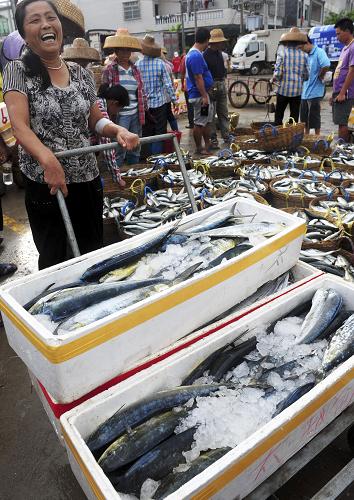 8月2日早晨,海南瓊海市潭門(mén)港一位漁民在碼頭裝卸海魚(yú),笑逐顏開(kāi)。一年一度的南海伏季休漁于8月1日中午12時(shí)結(jié)束,嚴(yán)重影響海南的第八號(hào)強(qiáng)熱帶風(fēng)暴已經(jīng)遠(yuǎn)去,瓊海市的漁民借助好天氣迅速投入生產(chǎn)。8月2日早晨,第一批出海漁船滿載而歸,返回瓊海潭門(mén)港碼頭卸貨。新華社發(fā)(蒙鐘德 攝)