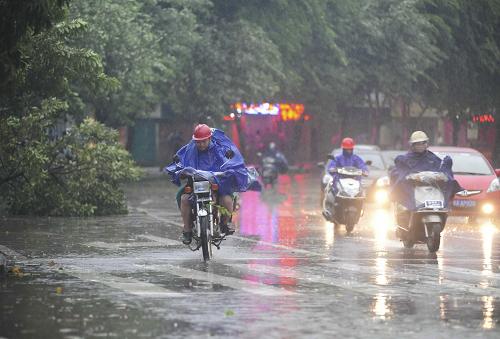 9月29日早晨,在海南瓊海市街頭,市民騎著摩托車頂風(fēng)冒雨艱難前行。 臺(tái)風(fēng)“納沙”挾風(fēng)暴潮步步逼近粵瓊交界,并可能于29日下午到夜間在廣東到海南之間沿海地區(qū)登陸。海南省氣象臺(tái)已發(fā)布臺(tái)風(fēng)紅色預(yù)警。 據(jù)了解,受“納沙”影響,海南多地29日至30日將有暴雨到大暴雨,局部地區(qū)有特大暴雨。29日凌晨4時(shí)許,海南省瓊海市開始刮起陣陣強(qiáng)風(fēng),目前風(fēng)力在不斷升級(jí),街道上不少樹木被連根拔起。新華社發(fā)(蒙鐘德 攝)