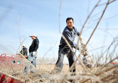 4月6日,在寧夏回族自治區(qū)銀川市覽山公園內,市民在搬運樹苗。隨著天氣轉暖,寧夏回族自治區(qū)各地掀起了春季全民義務植樹的高潮。據(jù)了解,全國開展全民義務植樹30年來,寧夏共有6400萬人次義務植樹共3.8億余株,全民義務植樹盡責率達到90%以上,人均植樹數(shù)量和義務植樹盡責率均高于全國平均水平。新華社記者 彭昭之 攝