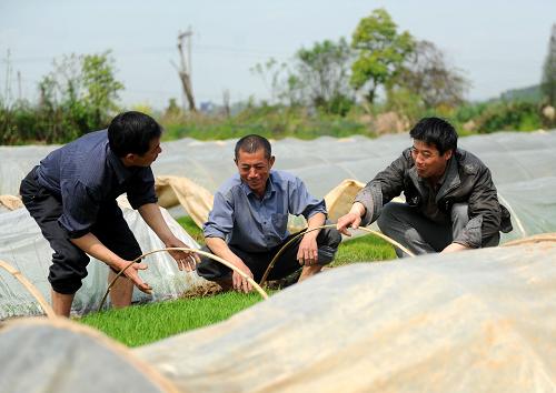 4月10日,農(nóng)技人員孫訓(xùn)幫(右)在江西吉安市吉州區(qū)曲瀨鎮(zhèn)瓦橋村指導(dǎo)當(dāng)?shù)剞r(nóng)民管理早稻秧苗。為加快春耕備耕生產(chǎn)步伐,強化先進(jìn)適用農(nóng)業(yè)技術(shù)的推廣,促進(jìn)農(nóng)業(yè)增效、農(nóng)民增收,江西已組織萬名農(nóng)技人員送科技下鄉(xiāng)。 新華社記者 周科 攝