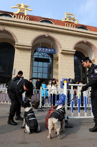 1月25日,特警隊(duì)員攜防爆犬在青島火車站東廣場執(zhí)勤。新華社記者 李紫恒 攝