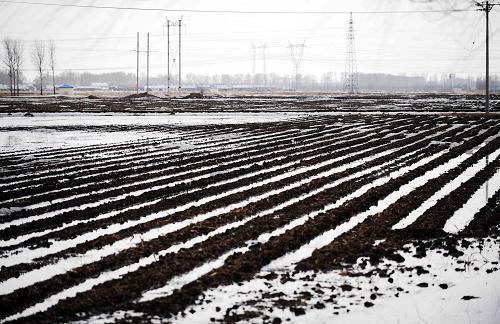 黑龍江省雙城市的一片農(nóng)田因雪水融化而無法下滲使旱田變成“水田”(3月27日攝)。新華社記者 王建威 攝