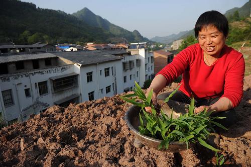 重慶石柱土家族自治縣龍沙鎮(zhèn)油房社區(qū)的搬遷戶馬澤淑在新家背后的山坡上種玉米(4月8日攝)。他們一家2010年從該鎮(zhèn)老林村搬遷至油房社區(qū)。新華社記者 李健 攝