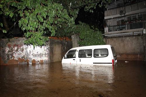 7月19日凌晨,在廈門市思明區(qū)梧村街道,車輛被暴雨形成的積水所淹。新華社發(fā)(曾德猛 攝)