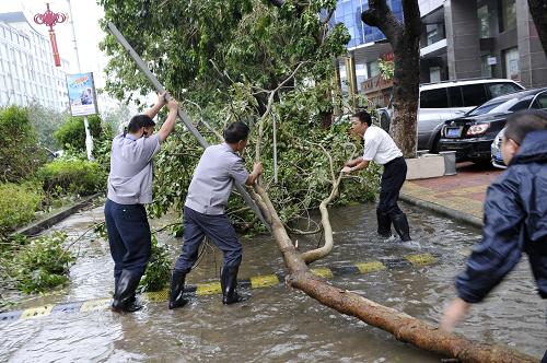 9月23日,汕尾城區(qū)居民和工作人員在清理倒伏樹木。新華社記者 梁旭 攝