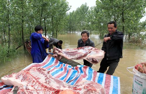 5月13日,在江西九江市武寧縣清江鄉(xiāng),由于公路被淹,村民只能借助小船轉(zhuǎn)運(yùn)豬肉等物資。新華社發(fā)