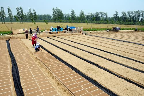 6月4日,山東省臨沂市郯城縣馬頭鎮(zhèn)農(nóng)民在使用“水稻流水線育秧機(jī)”。新華社發(fā)(房德華 攝)