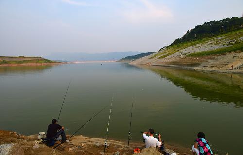 8月14日,人們在水位下落的三峽壩前釣魚。新華社發(fā)(鄭家裕 攝)