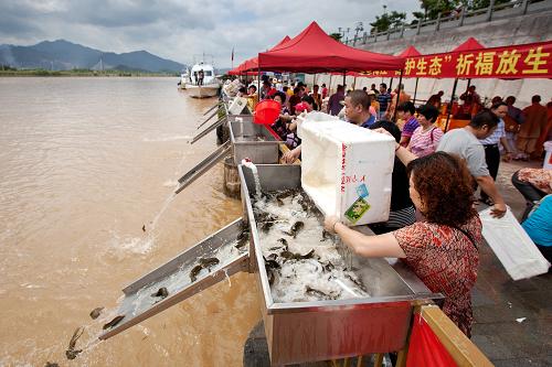 8月25日,市民在梅江放魚點放生魚苗。新華社發(fā)(連志城 攝)