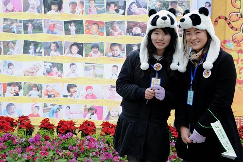 2月15日,兩位姑娘在大熊貓繁育基地頭戴熊貓帽,征集游客簽名選擇大熊貓寶貝。她們后面的孩子圖片,就是大熊貓寶貝候選人。新華社記者陳燮攝