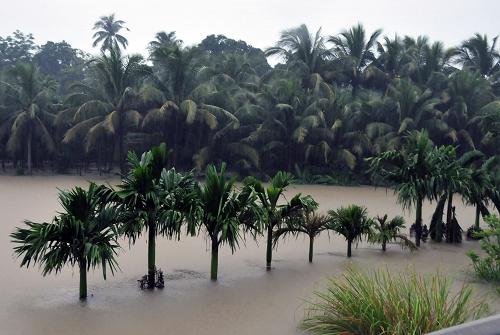 10月5日,海南省東線高速一側(cè)被雨水淹沒。新華社記者 郭程 攝