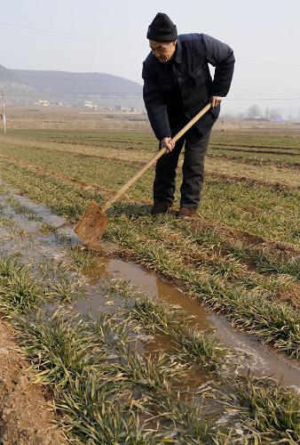 2月21日,山東省棗莊市山亭區(qū)楊崗村農(nóng)民為小麥澆返青水。新華社發(fā)(李宗憲 攝)
