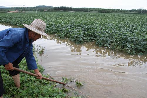 8月29日,在山東省臨沂市沂南縣張莊鎮(zhèn),一名農(nóng)民在為農(nóng)田排澇。 近日,魯南部分地區(qū)連續(xù)遭遇強降雨,大量農(nóng)田內(nèi)澇、農(nóng)作物倒伏。據(jù)初步統(tǒng)計,臨沂、棗莊等地有40多個鄉(xiāng)鎮(zhèn)80萬畝農(nóng)田受災,近2000名群眾臨時轉(zhuǎn)移。災情發(fā)生后,各地有關部門正組織力量緊急排水,全力開展救災工作。 新華社發(fā)(杜昱葆 攝)