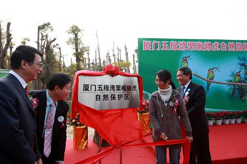 12月27日,福建廈門五緣灣栗喉蜂虎保護區(qū)在該市騎馬山揭牌,園內(nèi)將設(shè)置栗喉蜂虎觀鳥區(qū)和鳥類救助中心,并作為一個市民環(huán)境教育基地。新華社發(fā)(藍添藝 攝)