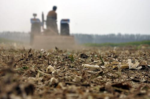 農(nóng)機(jī)手駕駛一臺拖拉機(jī)在山東省茌平縣賈寨鎮(zhèn)進(jìn)行秸稈還田(9月22日攝)。新華社發(fā)(趙玉國 攝)