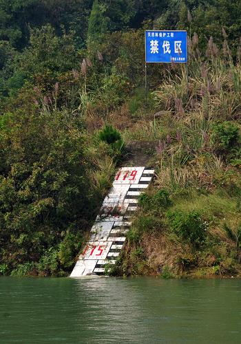 三峽庫區(qū)內(nèi)的一處水位標(biāo)志牌前,水位顯示已經(jīng)臨近175米最終蓄水位(10月22日攝)。新華社記者 郝同前攝
