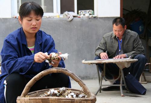 10月23日,宋兆行(右)在家中整理人口普查的材料,他的女兒在整理收獲的棉花。 今年48歲的宋兆行是山東省臨沂市郯城縣郯城鎮(zhèn)后趙村的一名人口普查員。他所在的村有317戶、1123人。由于正是農(nóng)忙時(shí)節(jié),他每天早上從6點(diǎn)多開始便要奔波于農(nóng)戶家中和田間地頭,做好正式入戶登記前的摸底工作,一天要走30多里路。據(jù)了解,目前郯城縣共有5000余名人口普查員奮戰(zhàn)在人口普查工作一線。 新華社發(fā)(張春雷 攝)