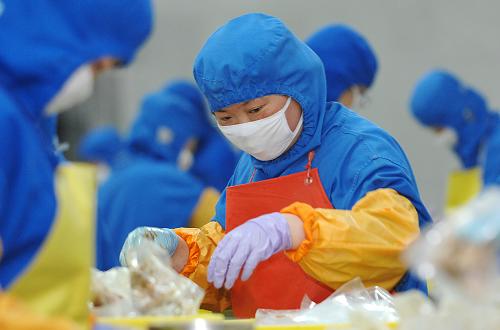4月19日,山東省文登市山泰食品有限公司對(duì)日出口食品加工車間工人在忙碌。 “3·11”強(qiáng)震及其引發(fā)的海嘯和核泄漏事件重創(chuàng)了日本農(nóng)業(yè)。作為威海市唯一一家對(duì)日本出口豬肉產(chǎn)品的農(nóng)業(yè)產(chǎn)業(yè)化重點(diǎn)龍頭企業(yè),文登市山泰食品有限公司克服豬肉價(jià)格上揚(yáng)、人員工資上漲等因素,在不提價(jià)的情況下,保質(zhì)保量供應(yīng)日本市場(chǎng)。 新華社記者 郭緒雷 攝