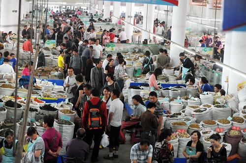 這是5月17日拍攝的安徽省亳州市中藥材交易中心。 中國中藥協(xié)會(huì)中藥材信息中心官方網(wǎng)站日前發(fā)布的《2011年4月市場價(jià)格同去年同期比較監(jiān)測報(bào)告》顯示,在所監(jiān)測的包括中藥材常用的大宗品種在內(nèi)的537個(gè)藥材品種中,與去年同期價(jià)格相比,升價(jià)品種有399個(gè),占總量約74%;降價(jià)品種100個(gè),占總量約19%;平價(jià)品種38個(gè),占總量約7%。 新華社發(fā)(張延林 攝)